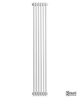 Вертикальний дизайнерський радіатор опалення TM ARTTIDESIGN Bari II 6/1800 білий матовий 5550 фото