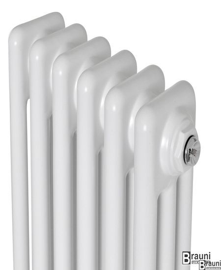 Вертикальный дизайнерский радиатор отопления TM ARTTIDESIGN Bari II 6/1800 белый матовый 5550 фото
