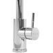 Смеситель для кухни REA CROSS CHROME хром REA-B5310 фото 3
