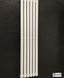 Дизайнерский вертикальный радиатор отопления ТМ ARTTIDESIGN «Rimini 6/1500» цвет белый матовый 5465 фото 1