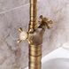 Змішувач для кухні REA RUSTICO BRUSHED GOLD золотий матовий REA-B5521 фото 2