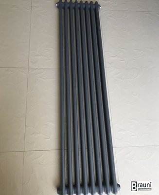Вертикальный дизайнерский радиатор отопления ТМ ARTTIDESIGN Bari 8/1800 серый матовый 5607 фото