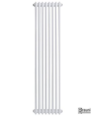 Вертикальный дизайнерский радиатор отопления TM ARTTIDESIGN Bari 8/1800 белый матовый 5608 фото