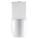 Унітаз компакт Ellipse-0401-T1 630&times;390&times;840 мм