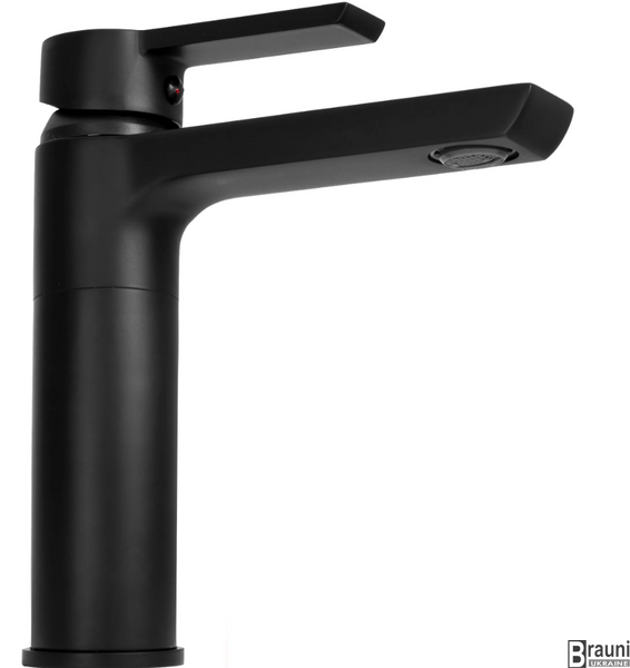 Смеситель для раковины (умывальника) REA ARGUS BLACK черный низкий REA-B6210 фото